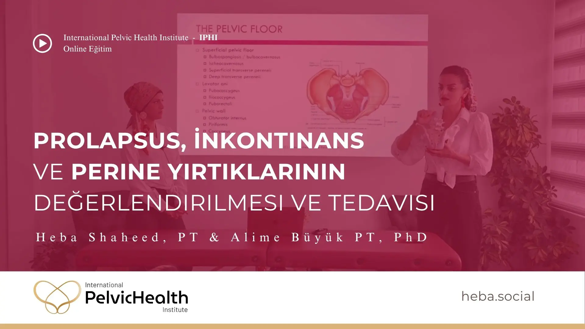 Prolapsus, İnkontinans ve Perine Yırtıklarının Değerlendirilmesi ve Tedavisi